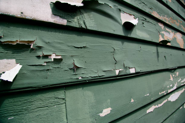 Best Fiber Cement Siding Installation  in Salida, CA