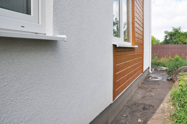 Best Siding Painting and Refinishing  in Salida, CA