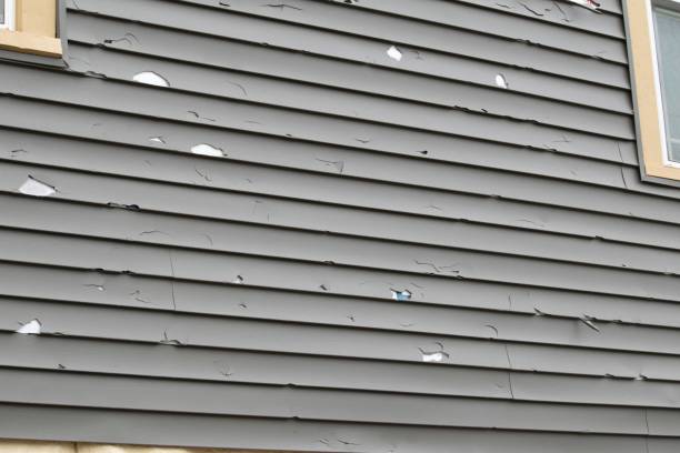 Affordable siding repair and maintenance services in Salida, CA
