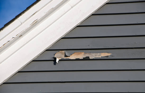 Best Custom Trim and Detailing for Siding  in Salida, CA